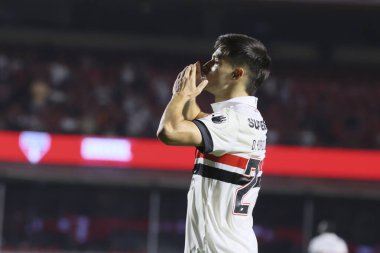 Sao Paulo (SP), 05 / 13 / 2024 - Sao Paulo oyuncusu Damian Bobadilla, Morumbis 'te Brasileirao' nun altıncı turu için geçerli olan Fluminense maçında golünü attı ve kutladı..