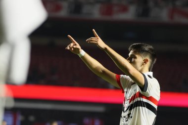 Sao Paulo (SP), 05 / 13 / 2024 - Sao Paulo oyuncusu Damian Bobadilla, Morumbis 'te Brasileirao' nun altıncı turu için geçerli olan Fluminense maçında golünü attı ve kutladı..
