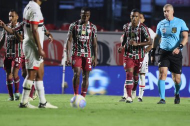 Sao Paulo (SP), 05 / 13 / 2024 - Fluminense oyuncuları Morumbis 'te Brasileirao' nun altıncı raundunda geçerli olan Igor Vinicius 'un Sao Paulo' nun kendi golünü kutladılar. 