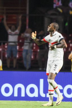 Sao Paulo (SP), 05 / 13 / 2024 - Sao Paulo FC oyuncusu Arboleda, Morumbis 'te Brasileirao' nun altıncı turu için geçerli olan Fluminense 'ye karşı attığı golü kutluyor.