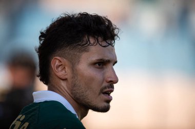 Barueri (SP), Brezilya 05 / 12 / 2024 - BRASILEIRAO - PALMEIRAS 'a karşı 12 Mayıs 2024 Pazar günü öğleden sonra. 