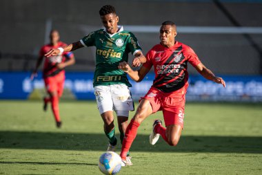 Barueri (SP), Brezilya 05 / 12 / 2024 - BRASILEIRAO - PALMEIRAS 'a karşı 12 Mayıs 2024 Pazar günü öğleden sonra. 
