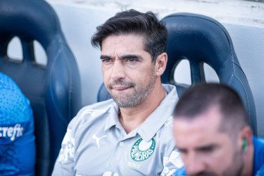 Barueri (SP), Brezilya 05 / 12 / 2024 - BRASILEIRAO - PALMEIRAS 'a karşı 12 Mayıs 2024 Pazar günü öğleden sonra. 