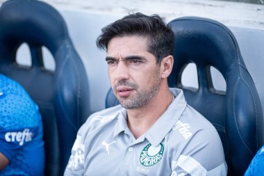 Barueri (SP), Brezilya 05 / 12 / 2024 - BRASILEIRAO - PALMEIRAS 'a karşı 12 Mayıs 2024 Pazar günü öğleden sonra. 