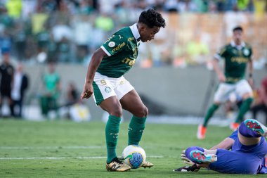Barueri (SP), Brezilya 05 / 12 / 2024 - BRASILEIRAO - PALMEIRAS 'a karşı 12 Mayıs 2024 Pazar günü öğleden sonra. 