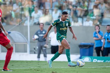 Barueri (SP), Brezilya 05 / 12 / 2024 - BRASILEIRAO - PALMEIRAS 'a karşı 12 Mayıs 2024 Pazar günü öğleden sonra. 