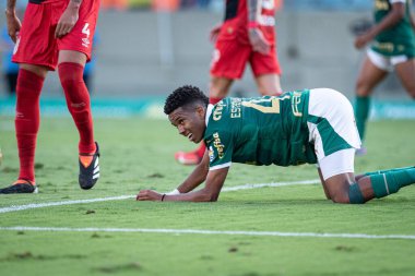 Barueri (SP), Brezilya 05 / 12 / 2024 - BRASILEIRAO - PALMEIRAS 'a karşı 12 Mayıs 2024 Pazar günü öğleden sonra. 