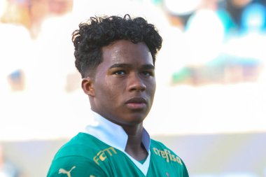 Barueri (SP), Brezilya 05 / 12 / 2024 - BRASILEIRAO - PALMEIRAS 'a karşı 12 Mayıs 2024 Pazar günü öğleden sonra. 