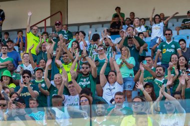 Barueri (SP), Brezilya 05 / 12 / 2024 - BRASILEIRAO - PALMEIRAS 'a karşı 12 Mayıs 2024 Pazar günü öğleden sonra. 