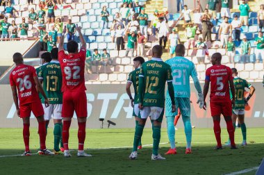 Barueri (SP), Brezilya 05 / 12 / 2024 - BRASILEIRAO - PALMEIRAS 'a karşı 12 Mayıs 2024 Pazar günü öğleden sonra. 