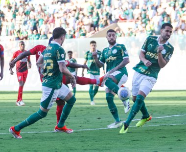 Barueri (SP), Brezilya 05 / 12 / 2024 - BRASILEIRAO - PALMEIRAS 'a karşı 12 Mayıs 2024 Pazar günü öğleden sonra. 