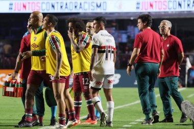 Sao Paulo (SP), 05/13/2024 - Coach Fernando Diniz, from Fluminense, gets involved in an argument with striker Luciano, from Sao Paulo, causing widespread confusion during the match between Sao Paulo and Fluminense clipart