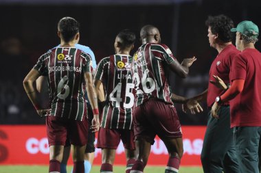 Sao Paulo (SP), 05 / 13 / 2024 - Fluminense 'den koç Fernando Diniz, Sao Paulo' dan forvet Luciano ile bir tartışmaya girdi ve Sao Paulo ile Fluminense arasında oynanan maçta büyük bir kafa karışıklığına yol açtı.