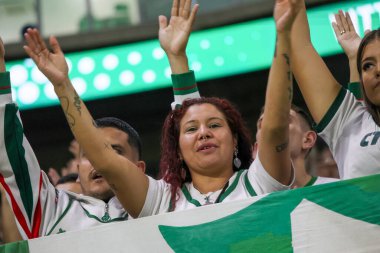 Sao Paulo (SP), 05 / 15 / 2024 - LIBERTADORES vs PALMEIRAS Sao Paulo-SP, bu Çarşamba akşamı, 15 Mayıs 2024. 