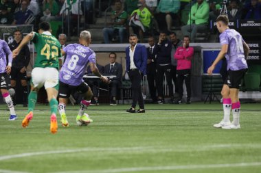 Sao Paulo (SP), 05 / 15 / 2024 - LIBERTADORES vs PALMEIRAS Sao Paulo-SP, bu Çarşamba akşamı, 15 Mayıs 2024. 
