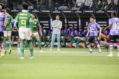 Sao Paulo (SP), 05 / 15 / 2024 - LIBERTADORES vs PALMEIRAS Sao Paulo-SP, bu Çarşamba akşamı, 15 Mayıs 2024. 
