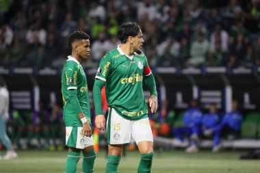 Sao Paulo (SP), 05 / 15 / 2024 - LIBERTADORES vs PALMEIRAS Sao Paulo-SP, bu Çarşamba akşamı, 15 Mayıs 2024. 