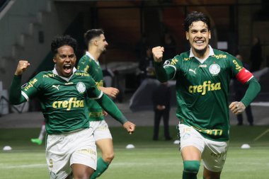 Sao Paulo (SP), 05 / 15 / 2024 - LIBERTADORES vs PALMEIRAS Sao Paulo-SP, bu Çarşamba akşamı, 15 Mayıs 2024. 