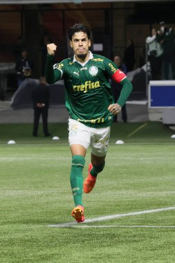 Sao Paulo (SP), 05 / 15 / 2024 - LIBERTADORES vs PALMEIRAS Sao Paulo-SP, bu Çarşamba akşamı, 15 Mayıs 2024. 