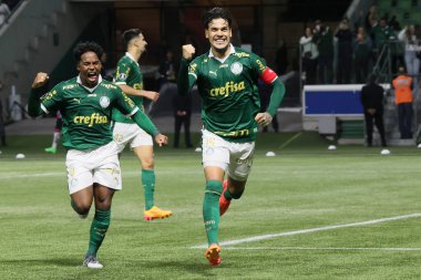 Sao Paulo (SP), 05 / 15 / 2024 - LIBERTADORES vs PALMEIRAS Sao Paulo-SP, bu Çarşamba akşamı, 15 Mayıs 2024. 