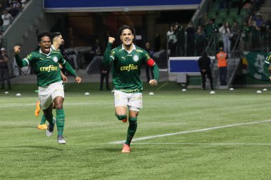 Sao Paulo (SP), 05 / 15 / 2024 - LIBERTADORES vs PALMEIRAS Sao Paulo-SP, bu Çarşamba akşamı, 15 Mayıs 2024. 