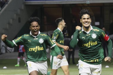 Sao Paulo (SP), 05 / 15 / 2024 - LIBERTADORES vs PALMEIRAS Sao Paulo-SP, bu Çarşamba akşamı, 15 Mayıs 2024. 