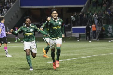 Sao Paulo (SP), 05 / 15 / 2024 - LIBERTADORES vs PALMEIRAS Sao Paulo-SP, bu Çarşamba akşamı, 15 Mayıs 2024. 