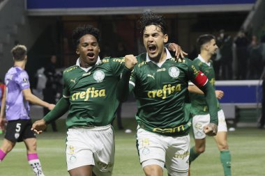 Sao Paulo (SP), 05 / 15 / 2024 - LIBERTADORES vs PALMEIRAS Sao Paulo-SP, bu Çarşamba akşamı, 15 Mayıs 2024. 