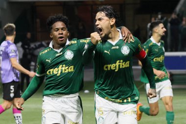 Sao Paulo (SP), 05 / 15 / 2024 - LIBERTADORES vs PALMEIRAS Sao Paulo-SP, bu Çarşamba akşamı, 15 Mayıs 2024. 