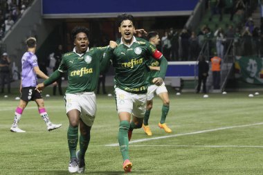 Sao Paulo (SP), 05 / 15 / 2024 - LIBERTADORES vs PALMEIRAS Sao Paulo-SP, bu Çarşamba akşamı, 15 Mayıs 2024. 