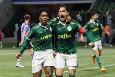 Sao Paulo (SP), 05 / 15 / 2024 - LIBERTADORES vs PALMEIRAS Sao Paulo-SP, bu Çarşamba akşamı, 15 Mayıs 2024. 