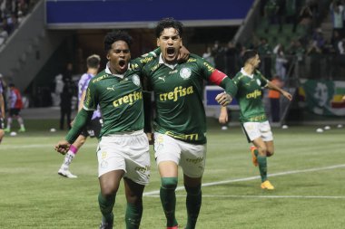 Sao Paulo (SP), 05 / 15 / 2024 - LIBERTADORES vs PALMEIRAS Sao Paulo-SP, bu Çarşamba akşamı, 15 Mayıs 2024. 