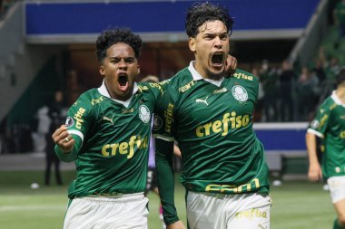 Sao Paulo (SP), 05 / 15 / 2024 - LIBERTADORES vs PALMEIRAS Sao Paulo-SP, bu Çarşamba akşamı, 15 Mayıs 2024. 
