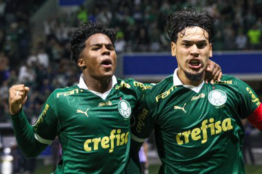Sao Paulo (SP), 05 / 15 / 2024 - LIBERTADORES vs PALMEIRAS Sao Paulo-SP, bu Çarşamba akşamı, 15 Mayıs 2024. 