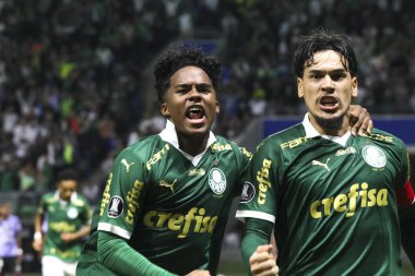 Sao Paulo (SP), 05 / 15 / 2024 - LIBERTADORES vs PALMEIRAS Sao Paulo-SP, bu Çarşamba akşamı, 15 Mayıs 2024. 