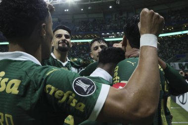 Sao Paulo (SP), 05 / 15 / 2024 - LIBERTADORES vs PALMEIRAS Sao Paulo-SP, bu Çarşamba akşamı, 15 Mayıs 2024. 