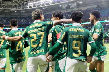 Sao Paulo (SP), 05 / 15 / 2024 - LIBERTADORES vs PALMEIRAS Sao Paulo-SP, bu Çarşamba akşamı, 15 Mayıs 2024. 