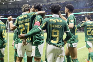 Sao Paulo (SP), 05 / 15 / 2024 - LIBERTADORES vs PALMEIRAS Sao Paulo-SP, bu Çarşamba akşamı, 15 Mayıs 2024. 