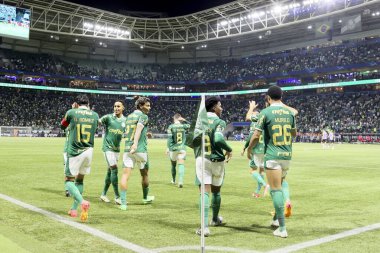 Sao Paulo (SP), 05 / 15 / 2024 - LIBERTADORES vs PALMEIRAS Sao Paulo-SP, bu Çarşamba akşamı, 15 Mayıs 2024. 