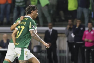 Sao Paulo (SP), 05 / 15 / 2024 - LIBERTADORES vs PALMEIRAS Sao Paulo-SP, bu Çarşamba akşamı, 15 Mayıs 2024. 