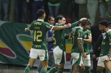 Sao Paulo (SP), 05 / 15 / 2024 - LIBERTADORES vs PALMEIRAS Sao Paulo-SP, bu Çarşamba akşamı, 15 Mayıs 2024. 