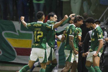 Sao Paulo (SP), 05 / 15 / 2024 - LIBERTADORES vs PALMEIRAS Sao Paulo-SP, bu Çarşamba akşamı, 15 Mayıs 2024. 