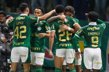 Sao Paulo (SP), 05 / 15 / 2024 - LIBERTADORES vs PALMEIRAS Sao Paulo-SP, bu Çarşamba akşamı, 15 Mayıs 2024. 