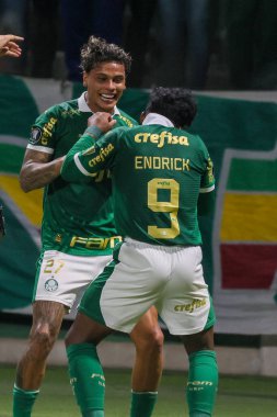 Sao Paulo (SP), 05 / 15 / 2024 - LIBERTADORES vs PALMEIRAS Sao Paulo-SP, bu Çarşamba akşamı, 15 Mayıs 2024. 