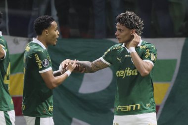 Sao Paulo (SP), 05 / 15 / 2024 - LIBERTADORES vs PALMEIRAS Sao Paulo-SP, bu Çarşamba akşamı, 15 Mayıs 2024. 