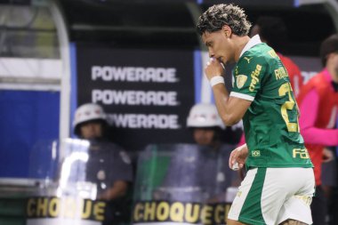 Sao Paulo (SP), 05 / 15 / 2024 - LIBERTADORES vs PALMEIRAS Sao Paulo-SP, bu Çarşamba akşamı, 15 Mayıs 2024. 