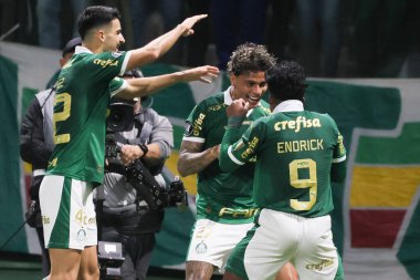 Sao Paulo (SP), 05 / 15 / 2024 - LIBERTADORES vs PALMEIRAS Sao Paulo-SP, bu Çarşamba akşamı, 15 Mayıs 2024. 