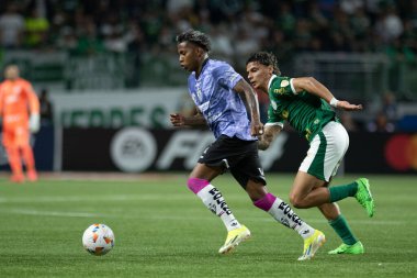 Sao Paulo (SP), 05 / 15 / 2024 - LIBERTADORES vs PALMEIRAS Sao Paulo-SP, bu Çarşamba akşamı, 15 Mayıs 2024. 