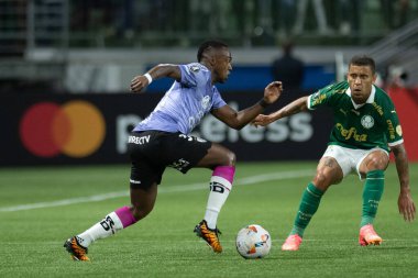 Sao Paulo (SP), 05 / 15 / 2024 - LIBERTADORES vs PALMEIRAS Sao Paulo-SP, bu Çarşamba akşamı, 15 Mayıs 2024. 