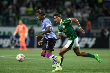 Sao Paulo (SP), 05 / 15 / 2024 - LIBERTADORES vs PALMEIRAS Sao Paulo-SP, bu Çarşamba akşamı, 15 Mayıs 2024. 